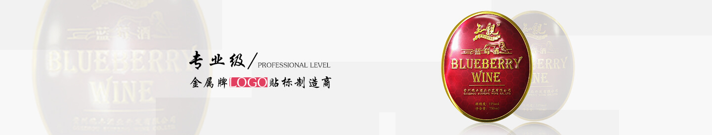 定制氧化拉絲亮銀色自行車頭標沖壓內(nèi)孔英文字母凹凸標牌